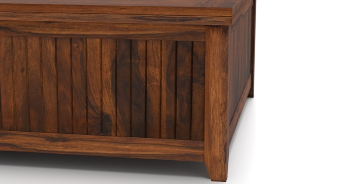 Rhibose Storage Coffee Table(Teak)